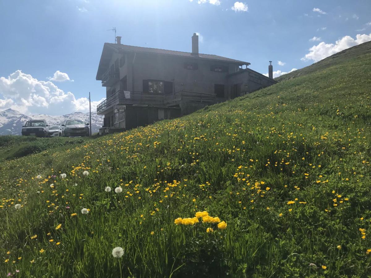 Appartamento Paola Livigno Eksteriør billede