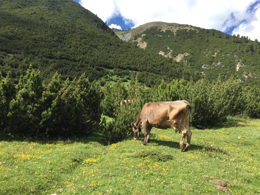 Appartamento Paola Livigno Eksteriør billede